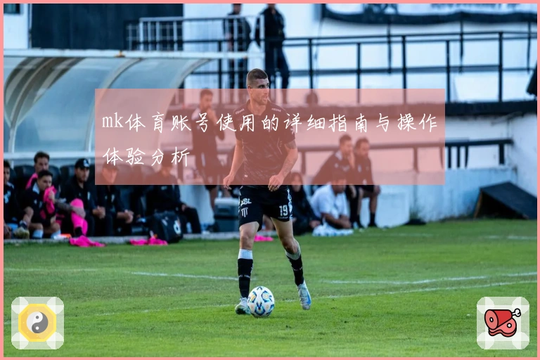 mk体育账号使用的详细指南与操作体验分析