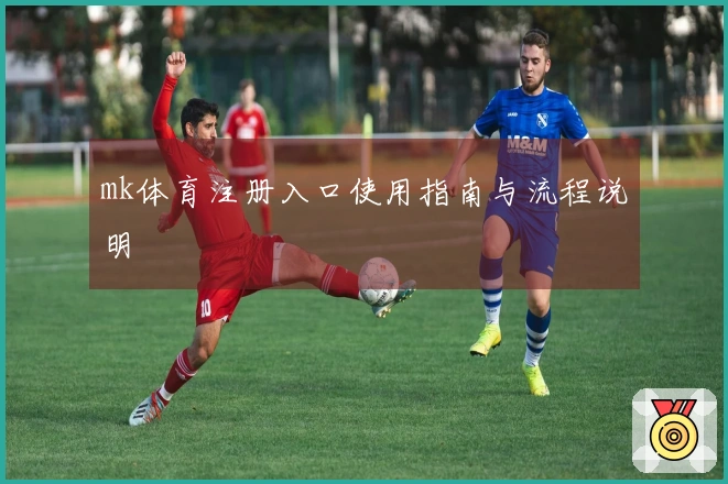 mk体育注册入口使用指南与流程说明