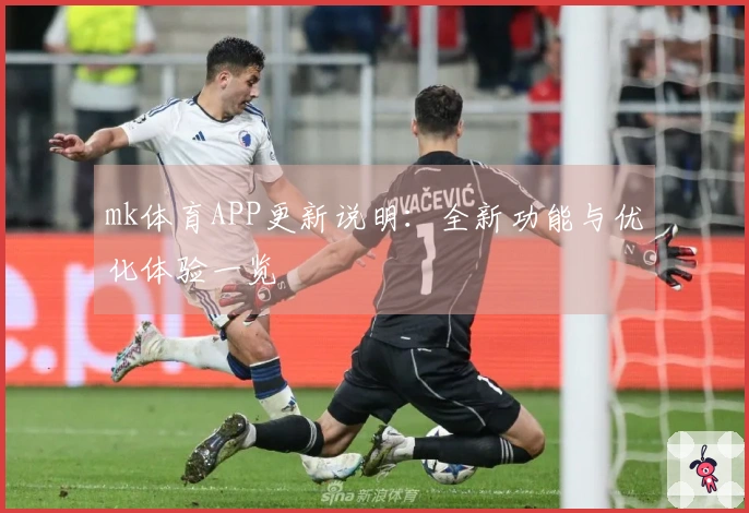 mk体育APP更新说明：全新功能与优化体验一览