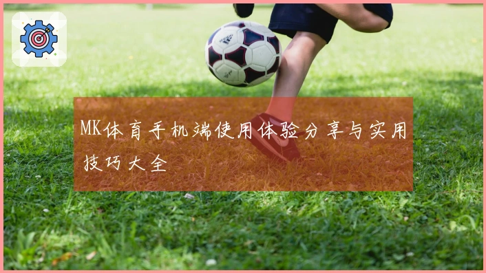 MK体育手机端使用体验分享与实用技巧大全