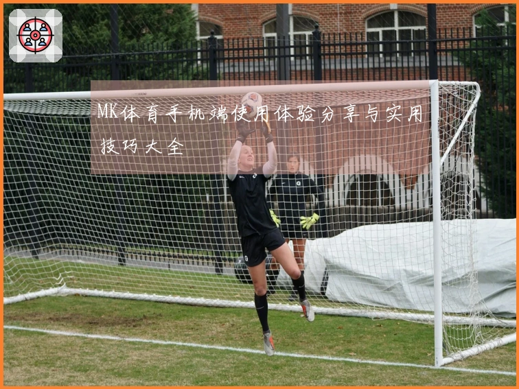 MK体育手机端使用体验分享与实用技巧大全